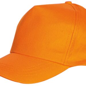 Coverguard BASEBALL