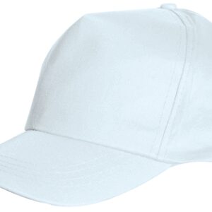 Coverguard BASEBALL