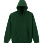 gi12500-forest_green-a1