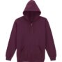 gi18600-maroon-a1