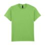 gi2000-lime-a2